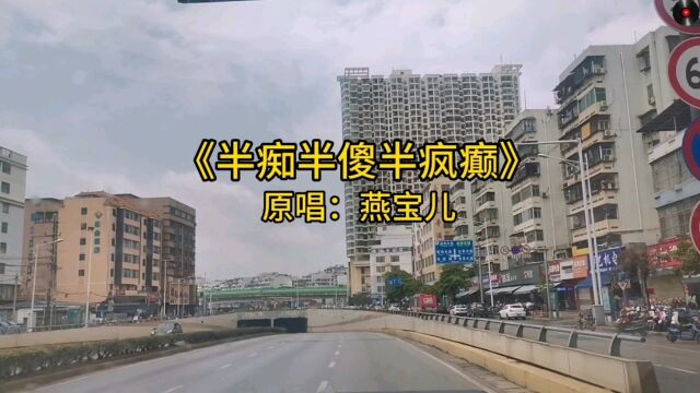 音乐欣赏《半痴半傻半疯癫》