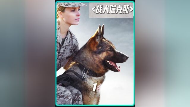 萌新女兵遇到“大魔王”军犬的感人故事