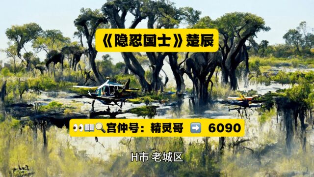 《隐忍国士》楚辰热门小说全文TXT阅读◇完整版