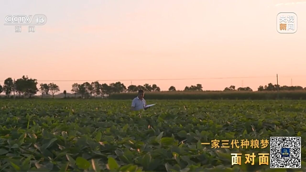 一家三代种粮梦 专访安徽太和县种粮大户徐淙祥