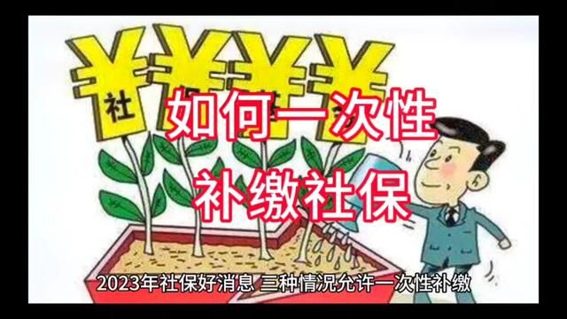 退休时养老保险不够15年如何一次性补缴#补缴社保 #深圳 #深圳社保 #深圳养老金