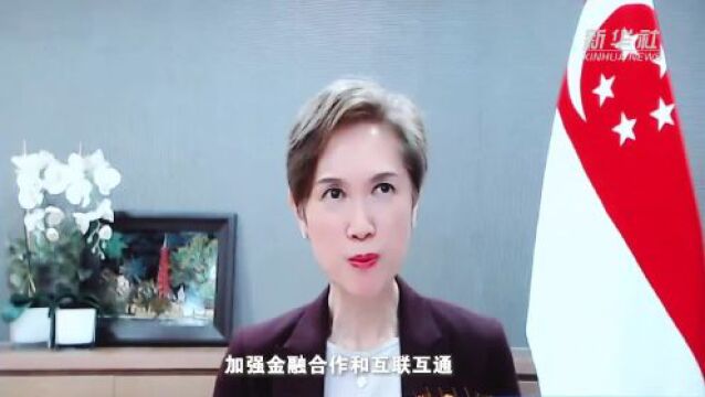 互联互通释放强劲动能——中新互联互通项目折射“一带一路”生机活力