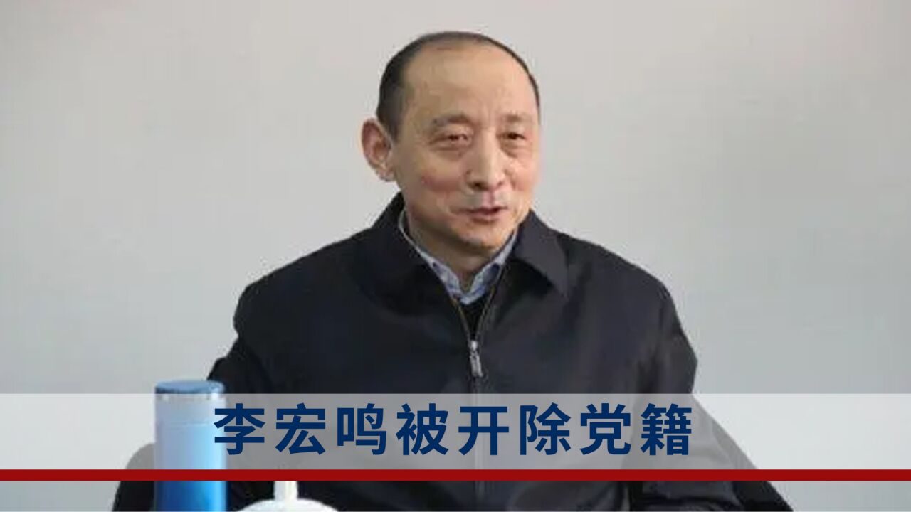 狂妄自大、擅权妄为!李宏鸣被开除党籍