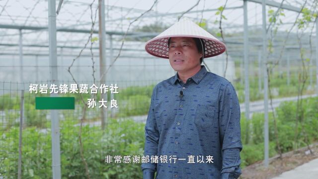 邮储银行绍兴市分行15周年形象宣传片