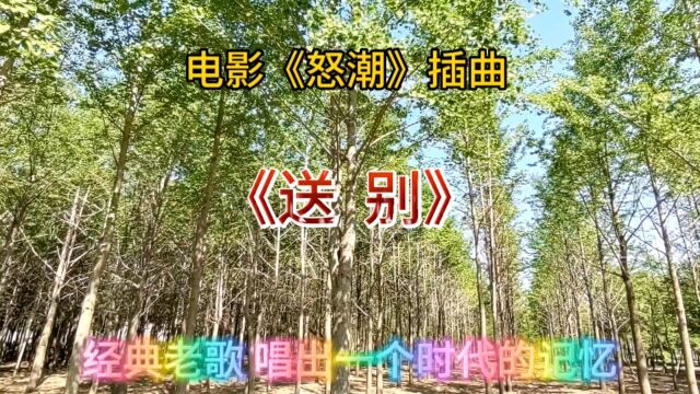 《送别》电影潮〈怒潮〉主题曲