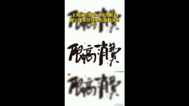 上海浦东新区人民法院对遵义播州交投发出限制消费令