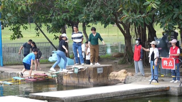 五一深圳旅游市场持续升温,亲子游、学生游拉升游乐景点热度