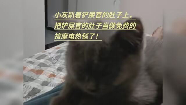 #我和我的猫 #记录猫咪日常的生活