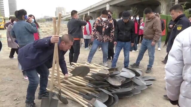 玉泉区开展“履行植树义务 共建美丽中国”义务植树活动