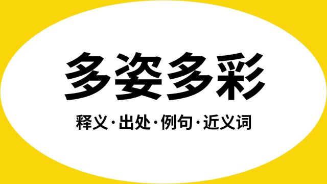 “多姿多彩”是什么意思?