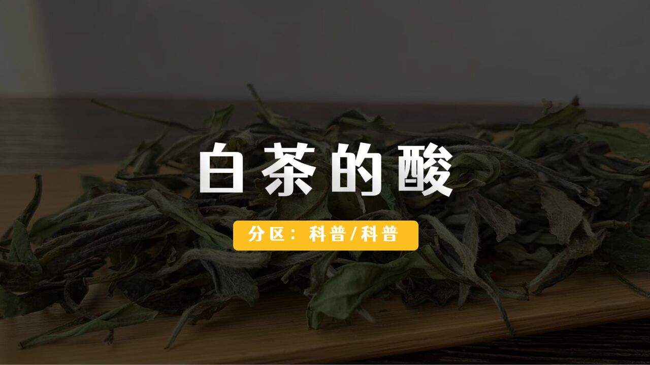 白茶的「酸」是怎么回事?