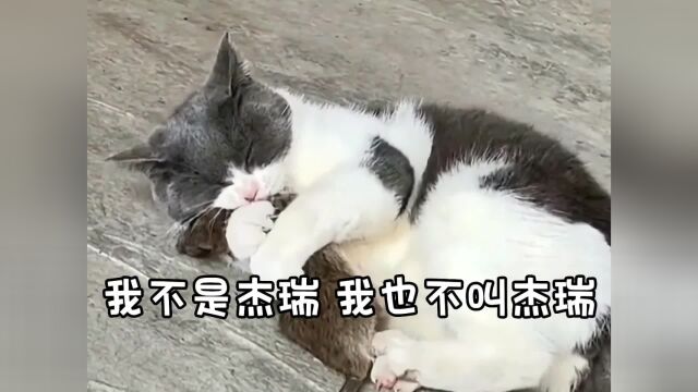 这窒息的爱?