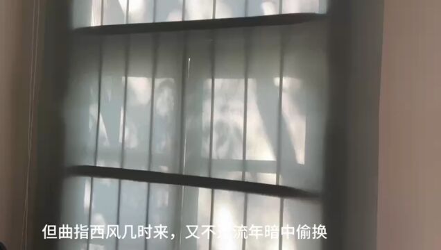 胡佳雯 艺术教育学院 职业生涯规划