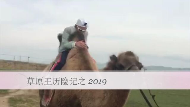 草原王历险记之2019