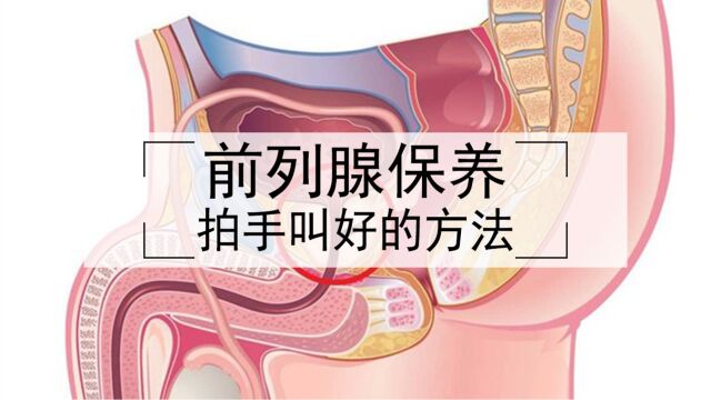 拍手叫好的前列腺保养方法