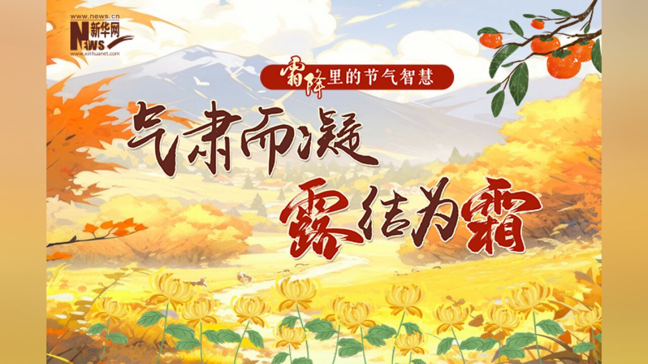 霜降里的节气智慧|气肃而凝 露结为霜