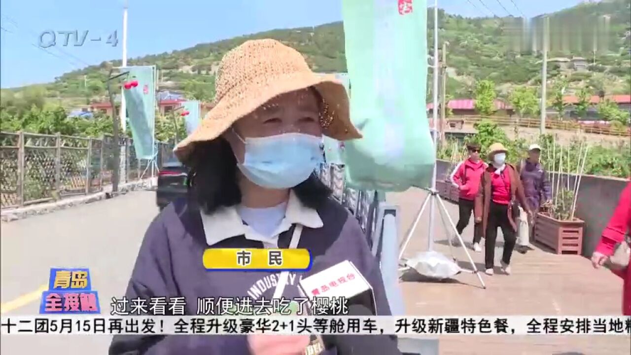 北宅樱桃节开幕,这份出行指南请收好!