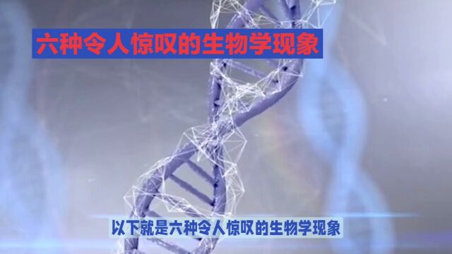 6种让人惊叹的生物学现象,了解3种你就是生物学家