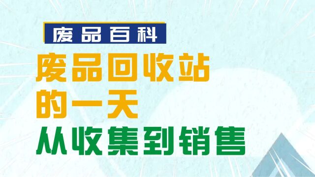 废品回收站的一天:从收集到销售