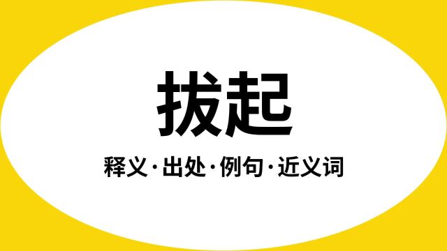 “拔起”是什么意思?