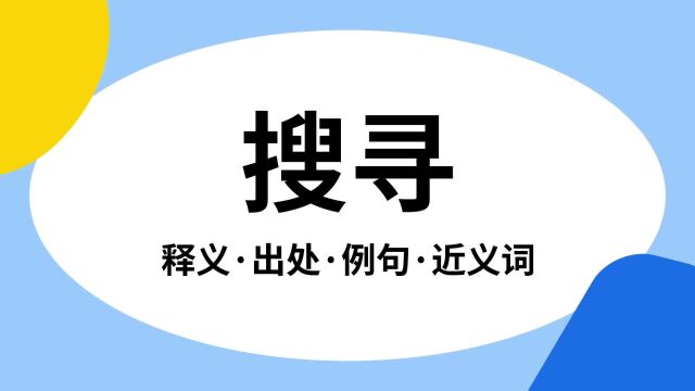 “搜寻”是什么意思?