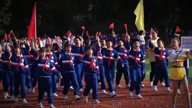 扬青春之朝气,显体育之精神 | 常德市武陵区平高学校秋季运动会圆满落幕