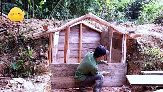 小伙独自来到雨林探险,借助天然岩壁建造庇护所