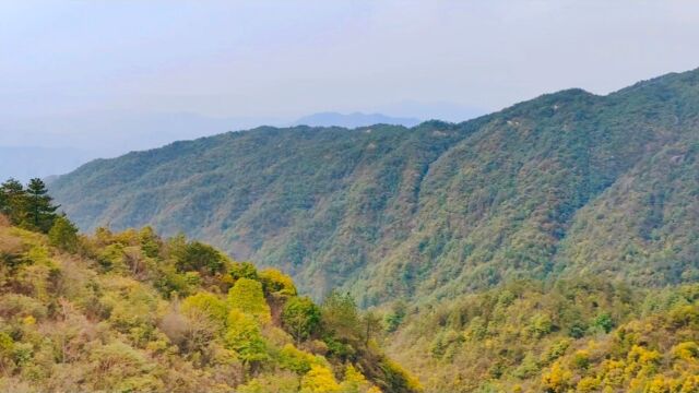 八面山,森林与草原,一路向上