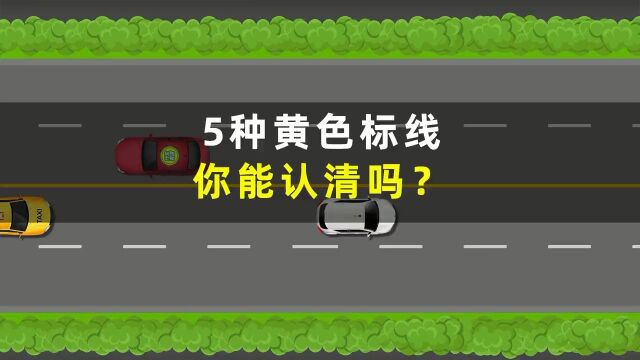 5种最常见的黄色道路标线,你知道是什么意思吗?