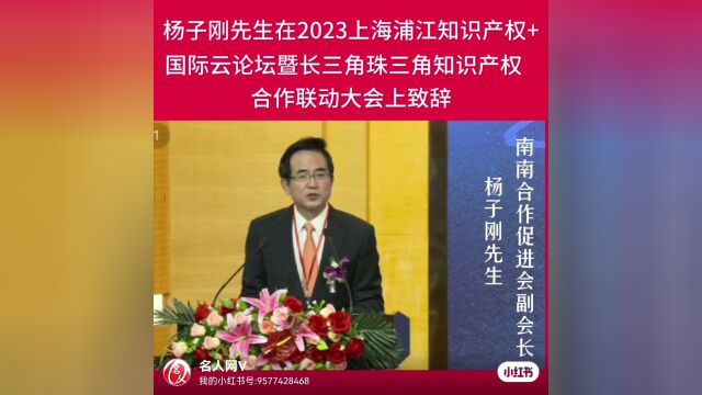 (外交部)南南合作促进会副会长杨子刚大使,在“上海浦江知识产权国际论坛暨长三角珠三角知识产权合作联动大会”上致辞