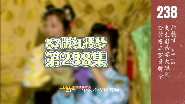 87版《红楼梦》解说(238)