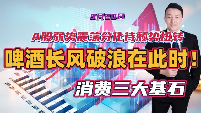 A股弱势震荡分化待颓势扭转,啤酒长风破浪在此时!后市如何看?