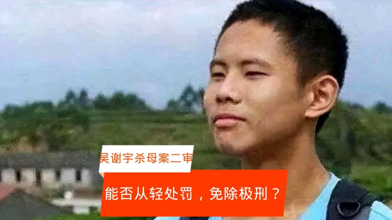 吴谢宇杀母案若亲属谅解能否从轻处罚?