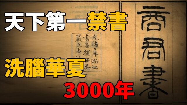 世界第一禁书,洗脑华夏3000年,得此书者得天下!