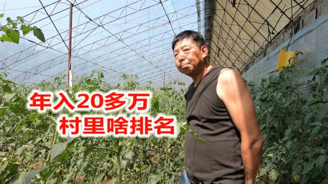 丹东凤凰山下小村庄,成片种植铁皮西红柿,年入20多万村里啥排名