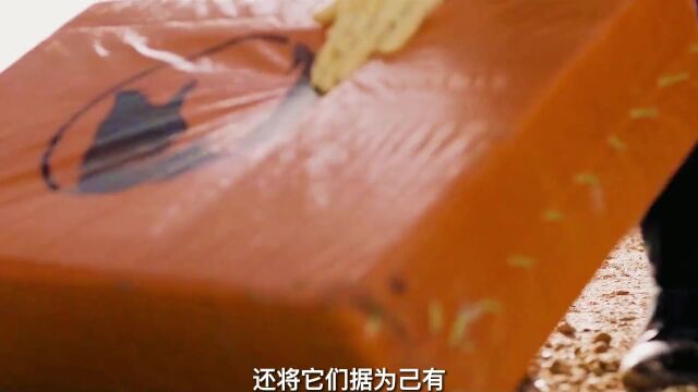 《毒贩大妈》第13集,绝命毒妈