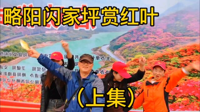 秋季略阳赏红叶徒步登山,启动仪式上大家很嗨,沿江两岸风景很美