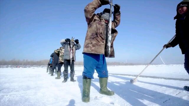 零下20摄氏度,耗时15天建造哈尔滨冰雪大世界,效果太惊艳了