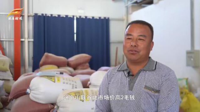 【关注】环县壮大做活村集体经济 惠农促振兴