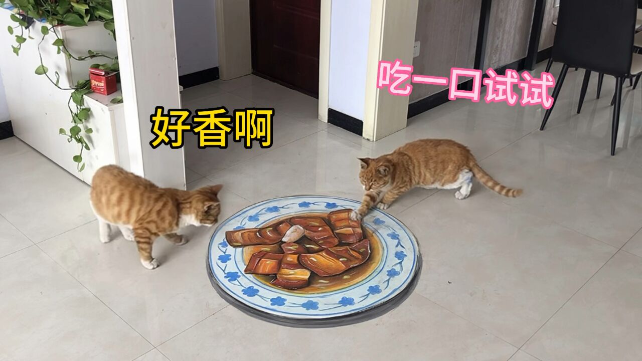 在家里画一盘五花肉,猫看到以为是真的,一直去舔