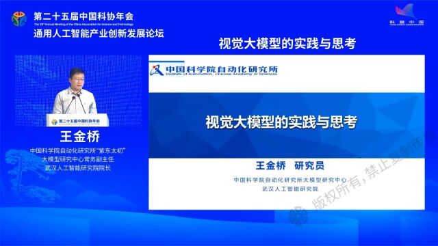 通用人工智能产业创新发展论坛——视觉大模型的实践与思考