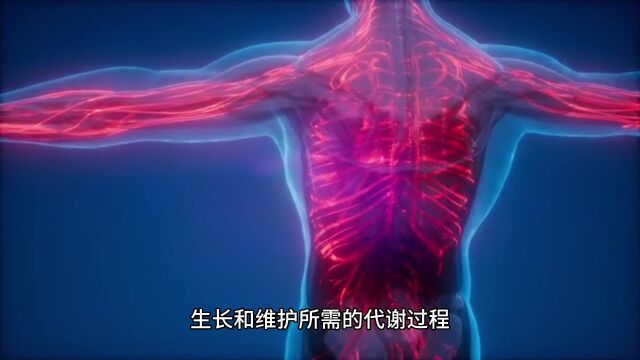 肌营养不良的罪魁祸首:缺乏运动和慢性疾病