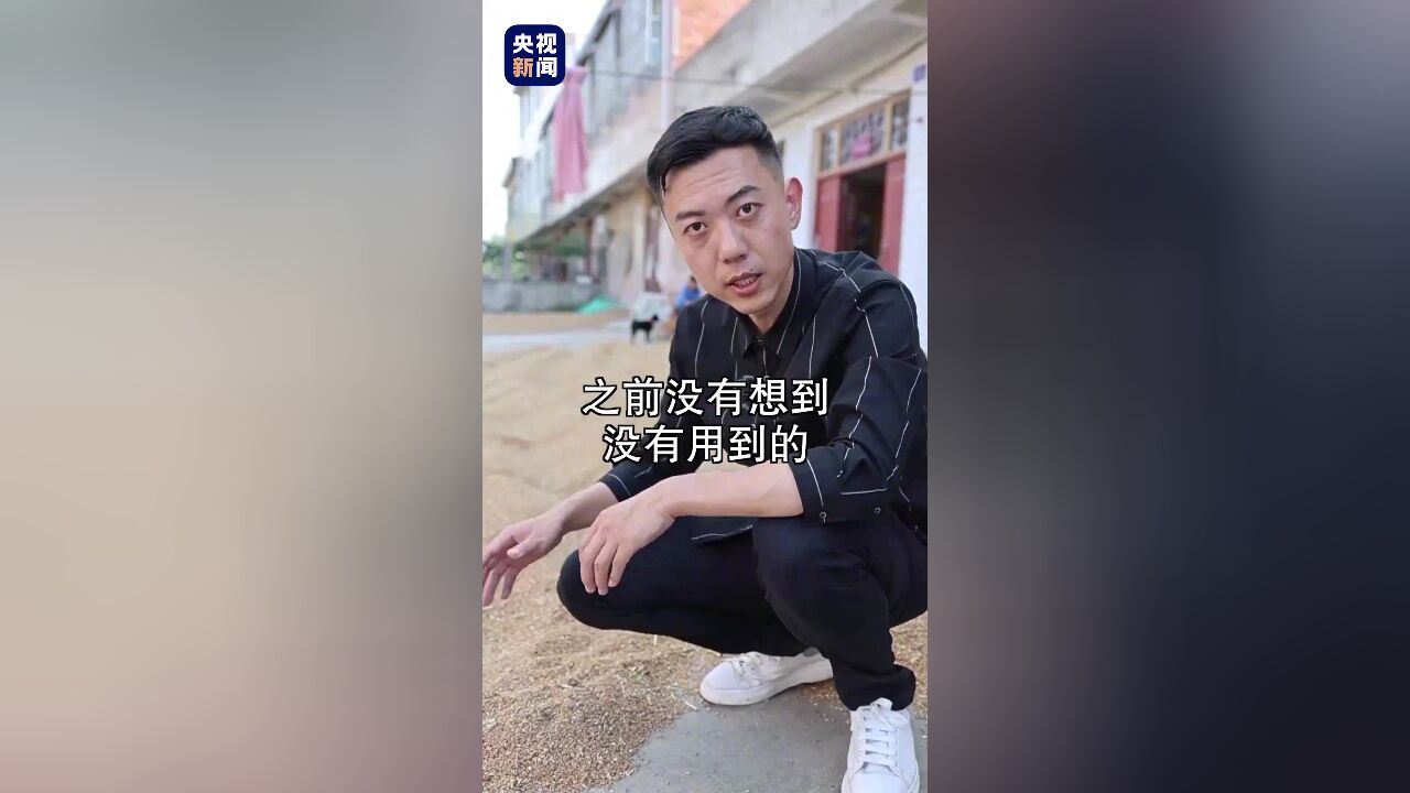 河南小麦现在咋样了?总台记者河南邓州实地探访