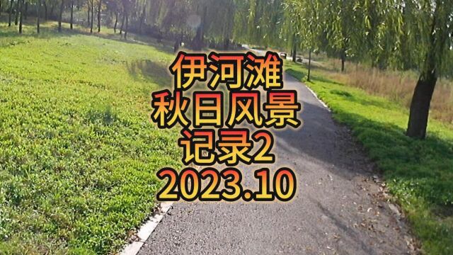 洛阳伊河滩中秋风景记录2时间2023.10