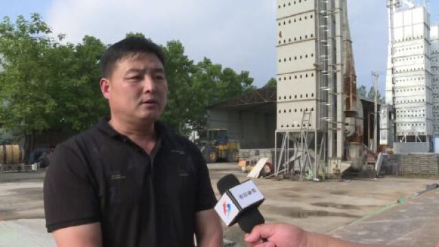 淮阳区农技专家深入田间指导农民抢收抢种