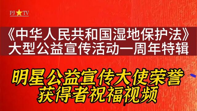 乔榛、丁绍光、徐小明、张维为、孔祥东、毛猛达、翁虹、王国权等明星公益宣传大使荣誉获得者普法祝福视频