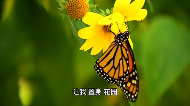 今日有诗 | 《最好》