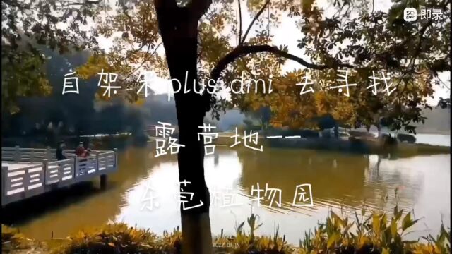 宋PLUSDMI:自驾宋PLUS DMI去寻找露营地——东莞植物园