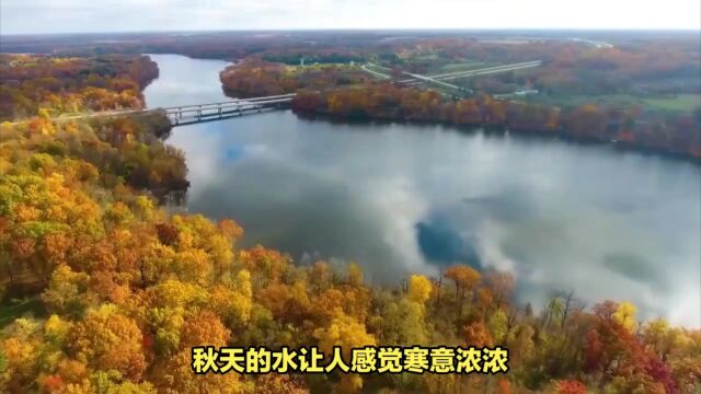 潦水尽而寒潭清,烟光凝而暮山紫