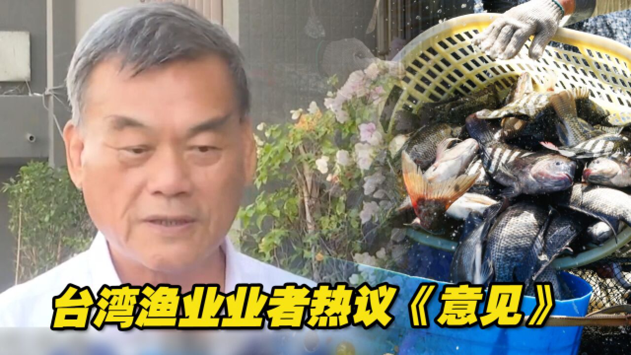 台湾渔业业者热议《意见》:“游”向福建觅商机